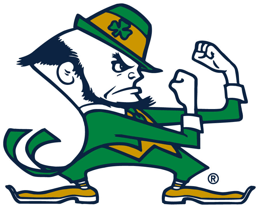 Notre Dame Fighting Irish 2015-Pres Secondary Logo v6 iron on transfers for clothing